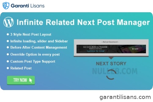 WordPress Infinite Related Next Post Manager