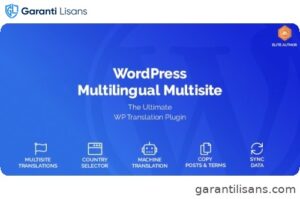 WordPress Multilingual Multisite