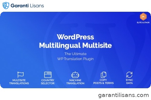 WordPress Multilingual Multisite