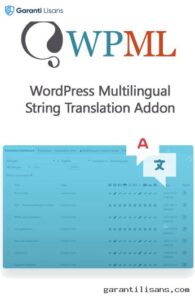 WordPress Multilingual String Translation Addon