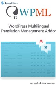 WordPress Multilingual Translation Management Addon