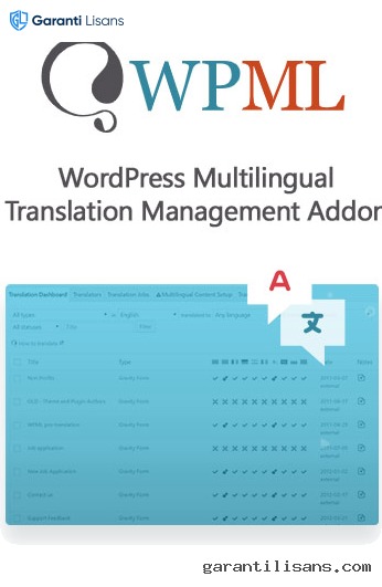 WordPress Multilingual Translation Management Addon