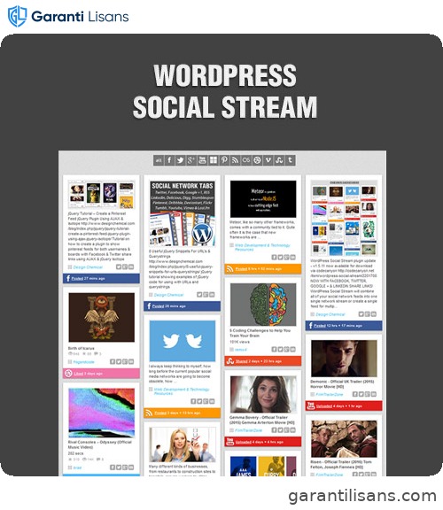 WordPress Social Stream