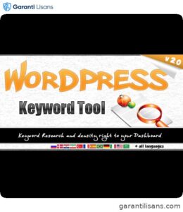 WordPress Keyword Tool Plugin