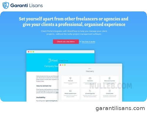 Client Portal – Project Management on WordPress