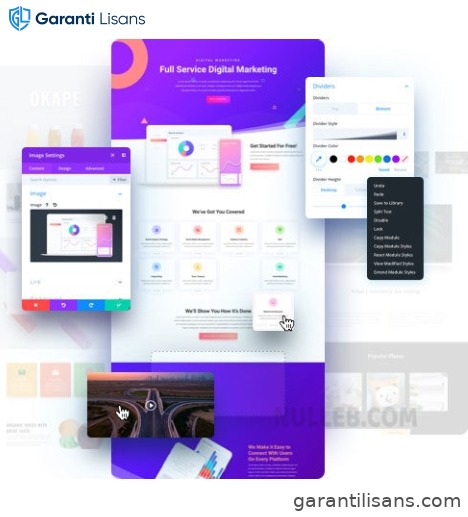 Divi Theme – Universal Template for WordPress