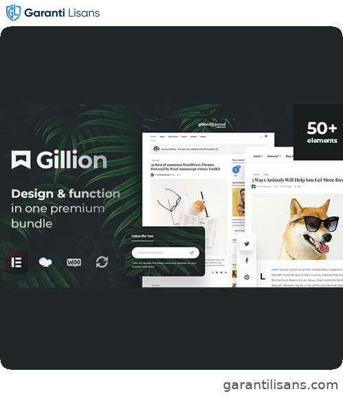 Gillion | Multi-Concept Blog/Magazine & Shop WordPress AMP Theme