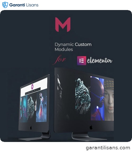 Modulify | Modules Addon for Elementor Page Builder